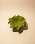 Alzata Decorativa in Ceramica Artigianale – Pezzo Unico
